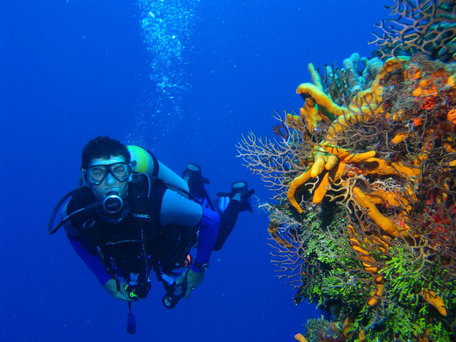 scuba diving trips mexico