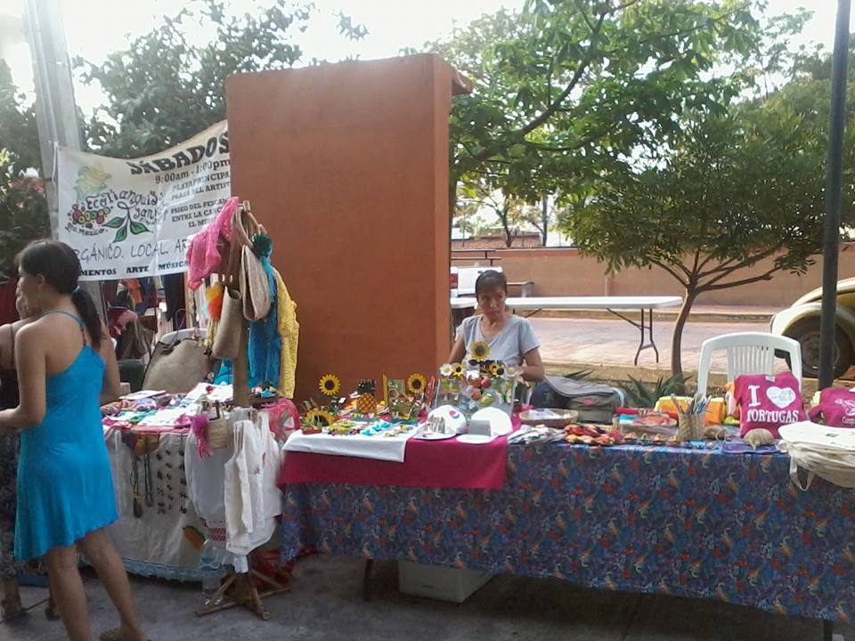 Turtle project sales at Ecotianguis