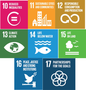 UN Goals 10 - 17