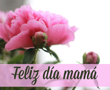 Why is Día de las Madres on May 10? The origins of Mother's Day in Mex