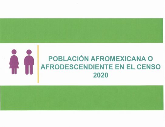 Results 2020 Mexican Census Shows Afromexicans